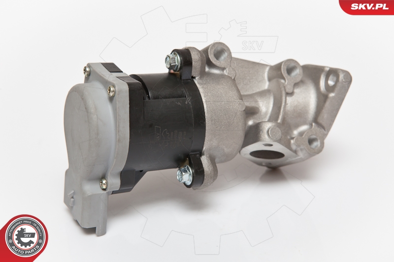 ESEN SKV 14SKV066 EGR-ventil