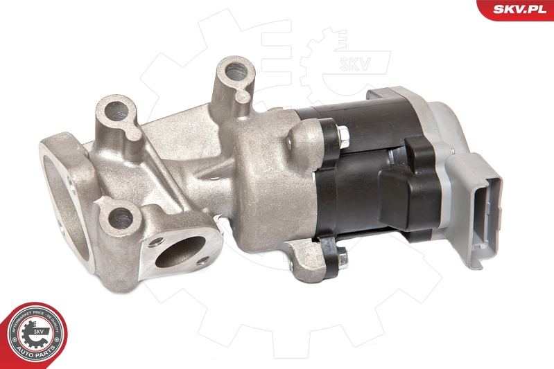 ESEN SKV 14SKV066 EGR-ventil