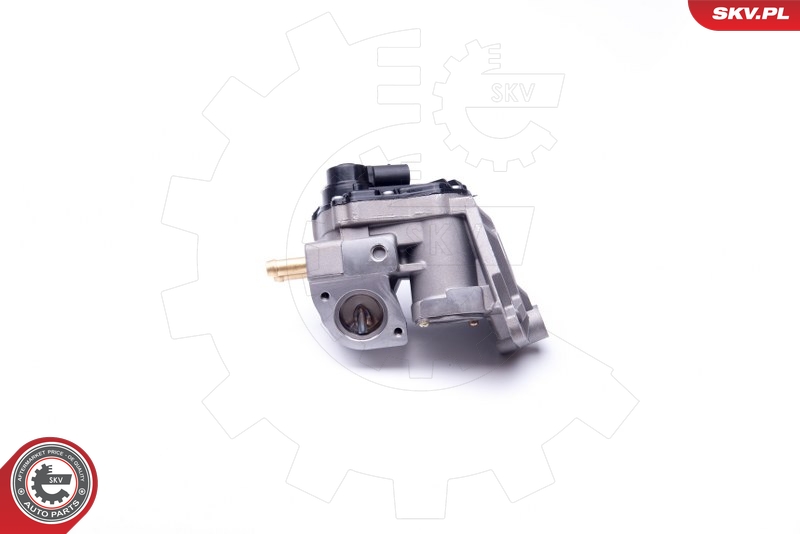 ESEN SKV 14SKV087 EGR-ventil