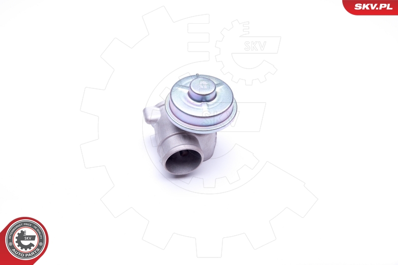 ESEN SKV 14SKV092 EGR-ventil