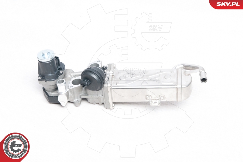 ESEN SKV 14SKV094 EGR-ventil