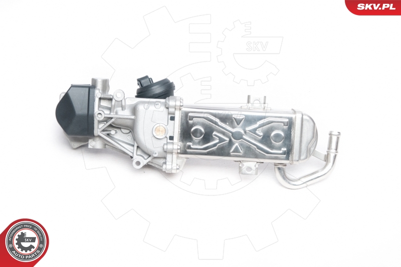 ESEN SKV 14SKV094 EGR-ventil