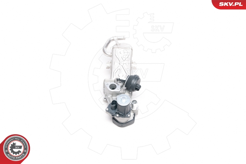 ESEN SKV 14SKV094 EGR-ventil