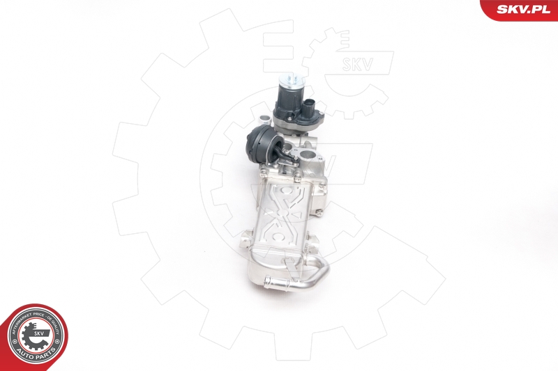 ESEN SKV 14SKV094 EGR-ventil