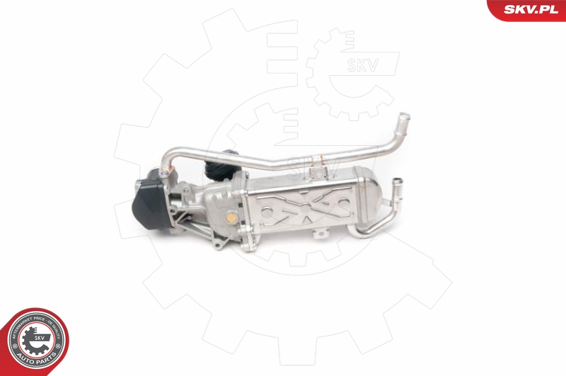 DRI 717730147 EGR-ventil