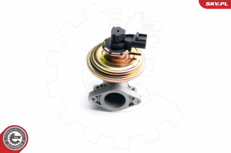 VEMO V40-63-0015 EXPERT KITS + EGR-ventil