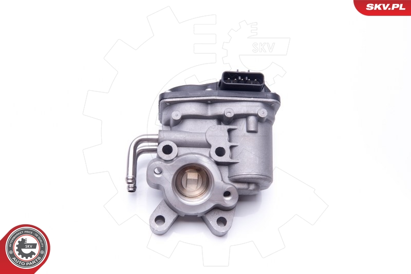 DRI 717730113 EGR-ventil