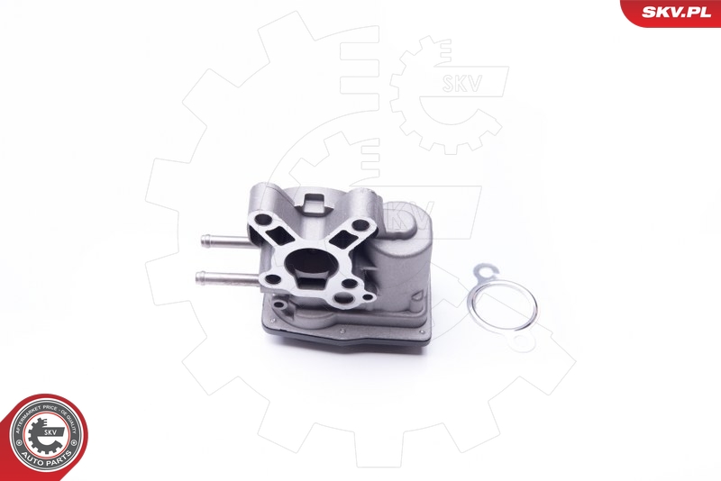 ESEN SKV 14SKV103 EGR-ventil