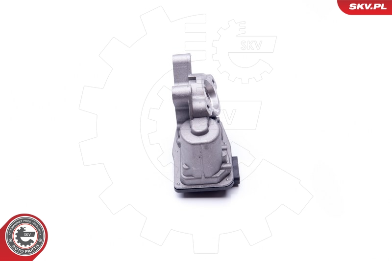 ESEN SKV 14SKV103 EGR-ventil