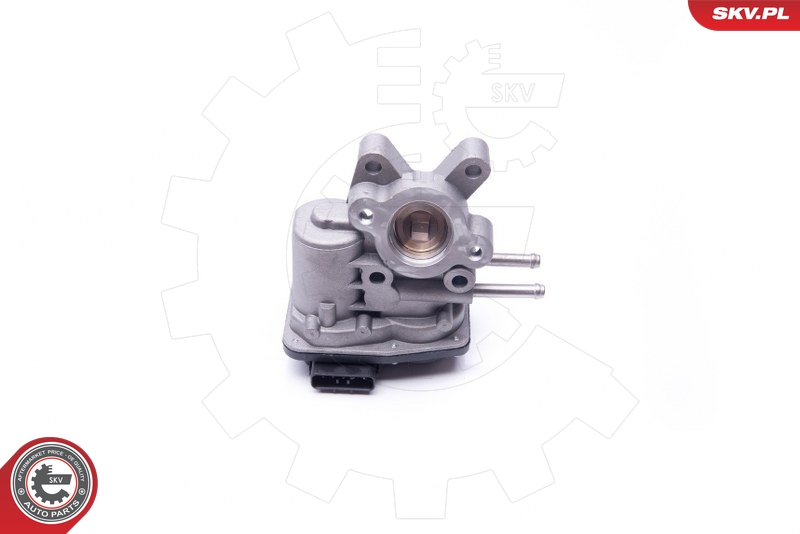 ESEN SKV 14SKV103 EGR-ventil