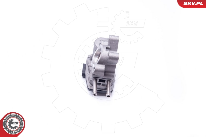 ESEN SKV 14SKV103 EGR-ventil