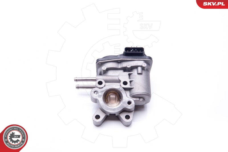 ESEN SKV 14SKV103 EGR-ventil