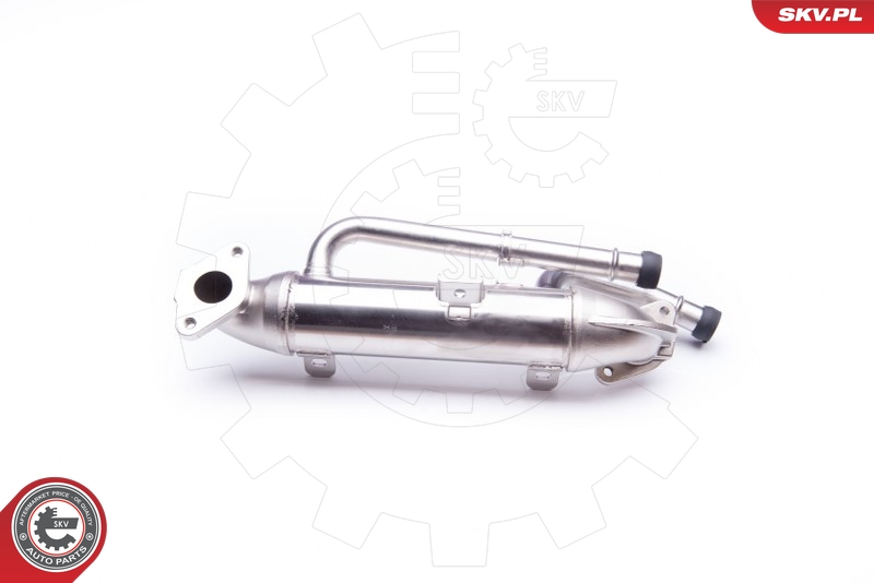 Dr.Motor Automotive DRM61116C Kjøler, avgassresirkulering