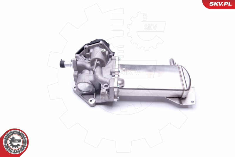 WAHLER 710925R EGR-ventil