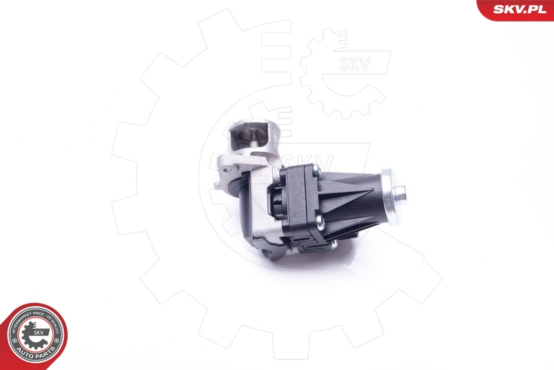 ESEN SKV 14SKV159 EGR-ventil