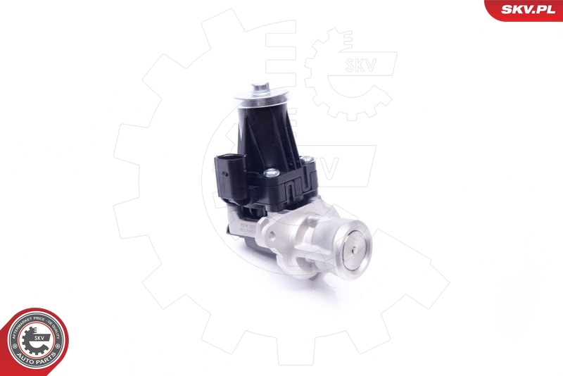 ESEN SKV 14SKV159 EGR-ventil
