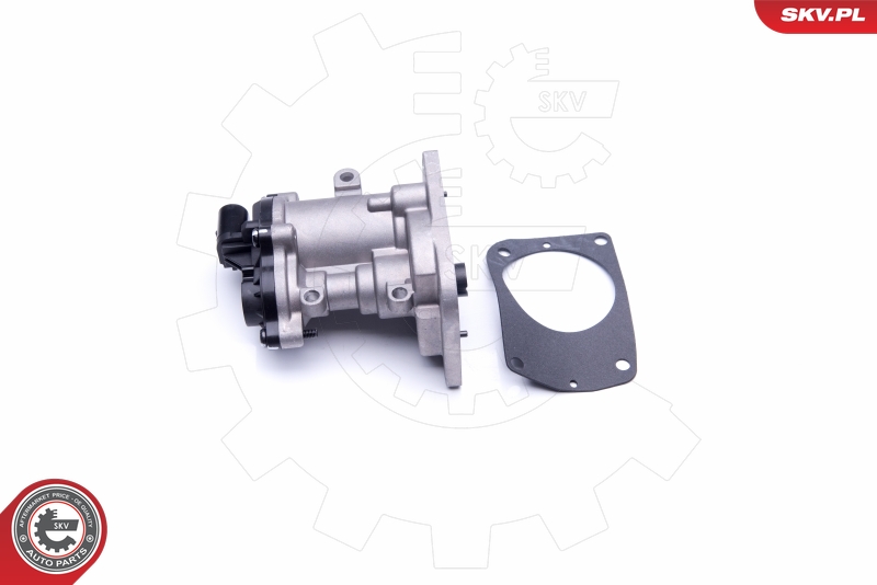 MAGNETI MARELLI 571822112146 EGR-ventil