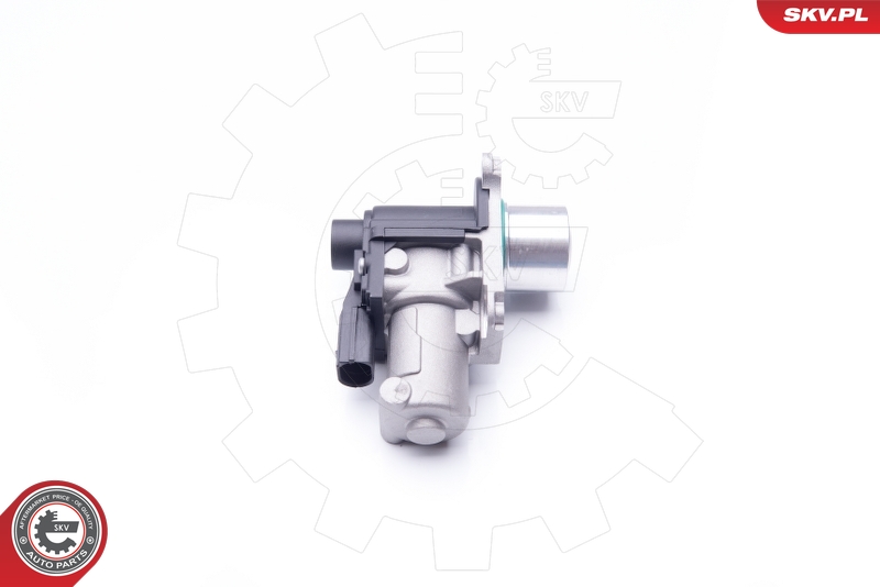 ESEN SKV 14SKV170 EGR-ventil