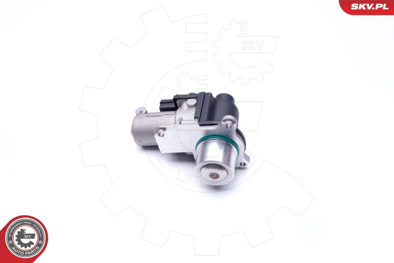 ESEN SKV 14SKV170 EGR-ventil