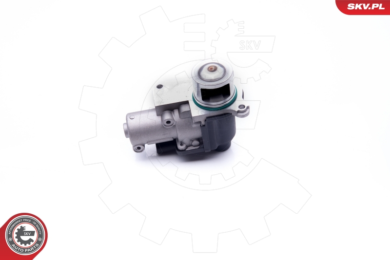 ESEN SKV 14SKV170 EGR-ventil