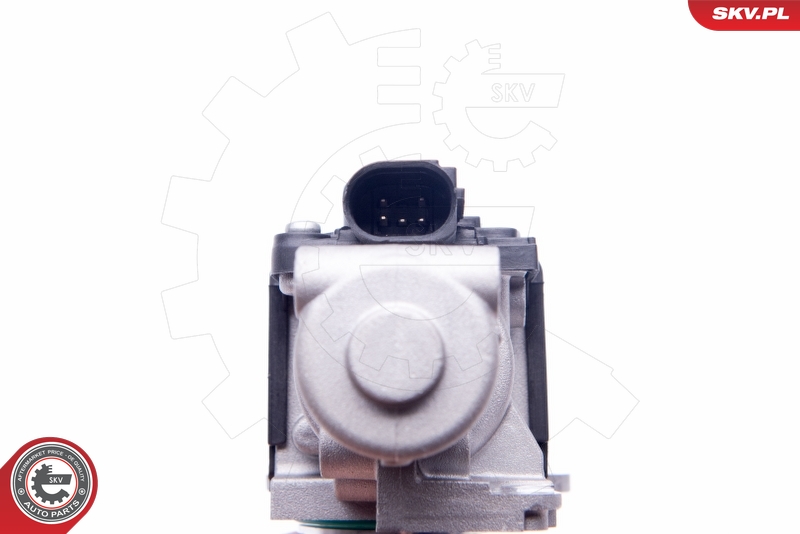 ESEN SKV 14SKV170 EGR-ventil