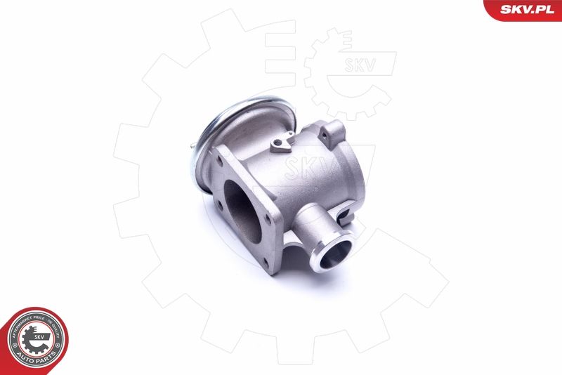 ESEN SKV 14SKV178 EGR-ventil