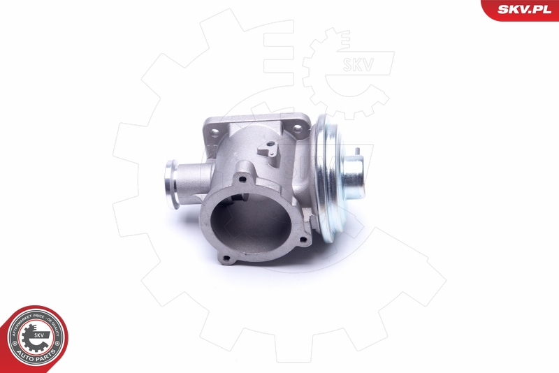 ESEN SKV 14SKV178 EGR-ventil