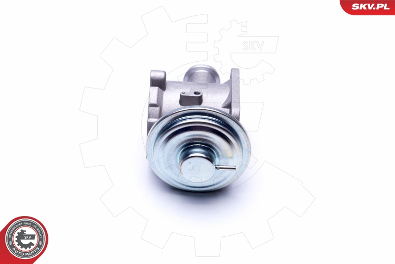 ESEN SKV 14SKV178 EGR-ventil