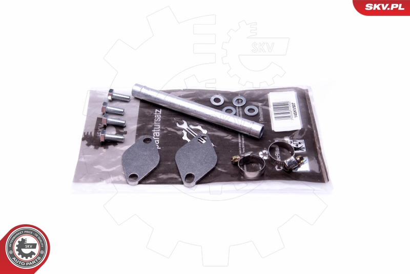 Repair Set, EGR valve