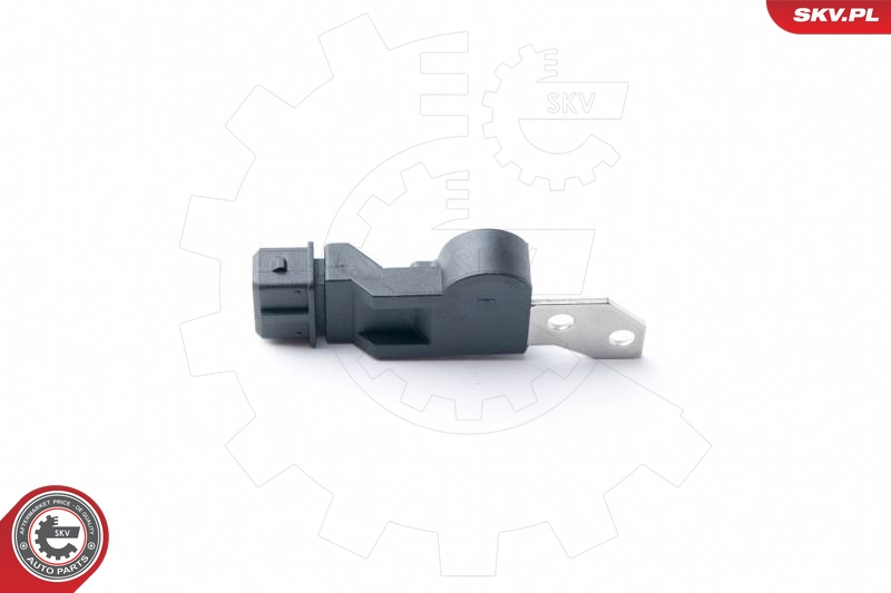 ESEN SKV 17SKV250 Sensor, kamakselposisjon
