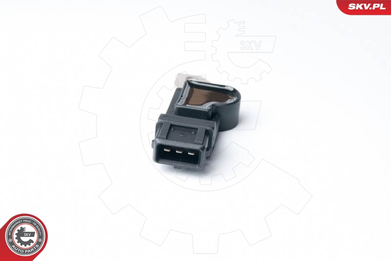 ESEN SKV 17SKV250 Sensor, kamakselposisjon