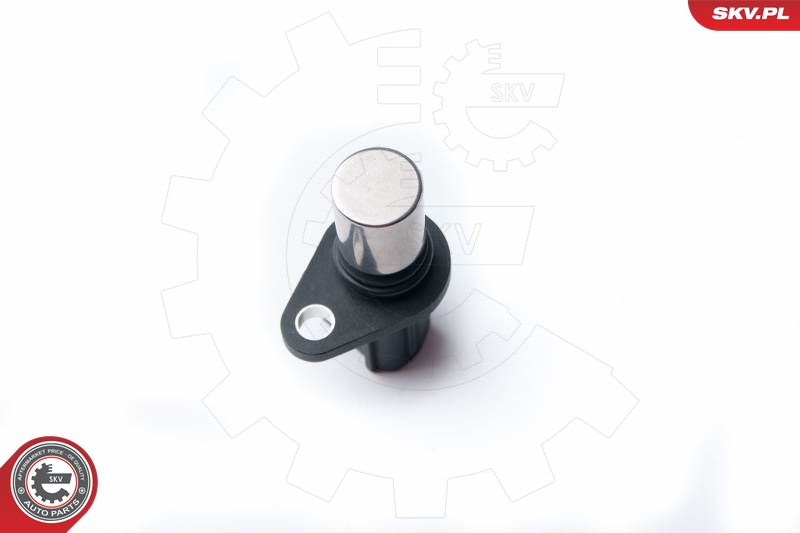 ESEN SKV 17SKV252 Sensor, kamakselposisjon