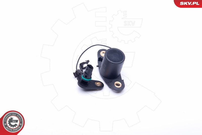 ESEN SKV 17SKV401 Sensor, motoroljestand