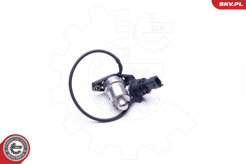 ESEN SKV 17SKV405 Sensor, motoroljestand