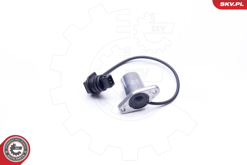ESEN SKV 17SKV407 Sensor, motoroljestand