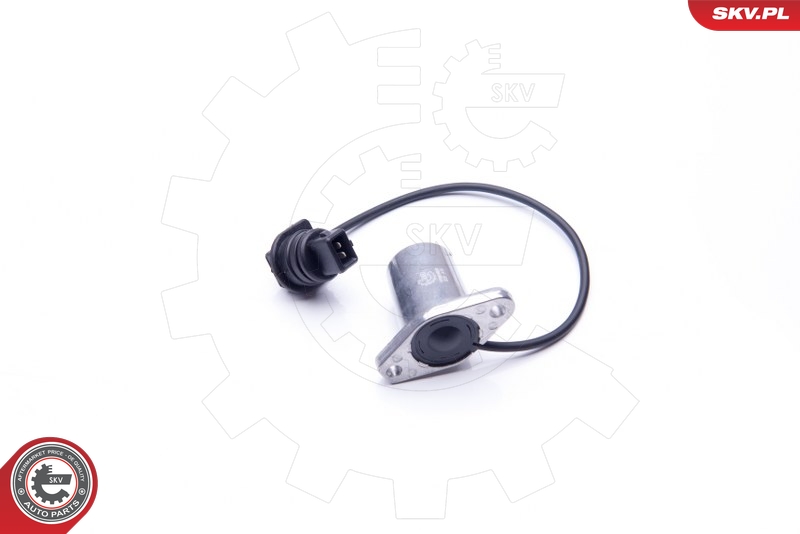 ESEN SKV 17SKV407 Sensor, motoroljestand