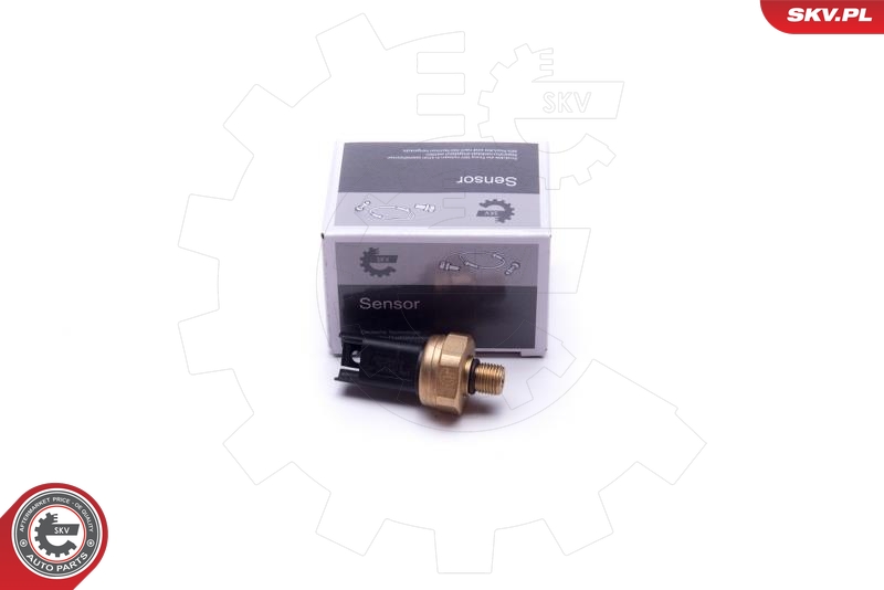 ESEN SKV 17SKV620 Sensor,...