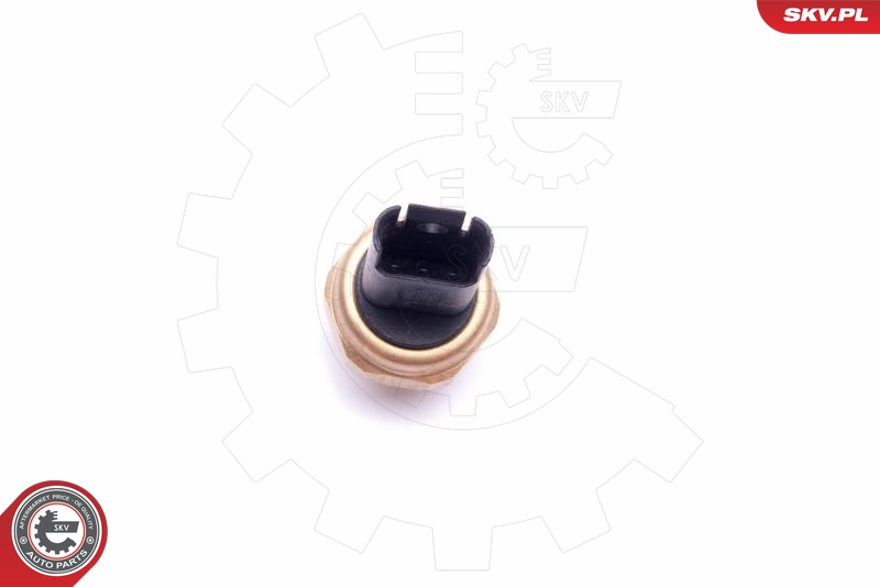 ESEN SKV 17SKV620 Sensor, drivstofftrykk