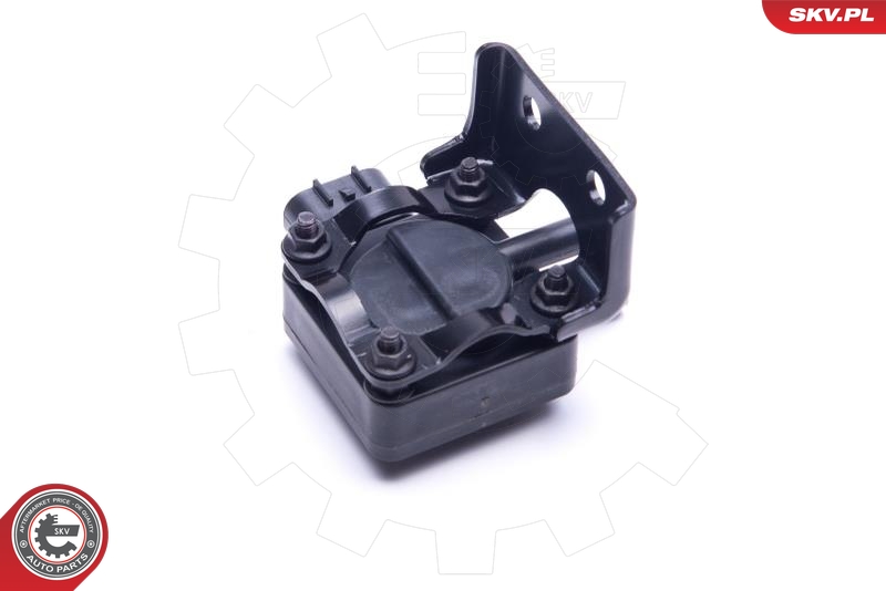 ESEN SKV 17SKV666 sensor, avgasstrykk