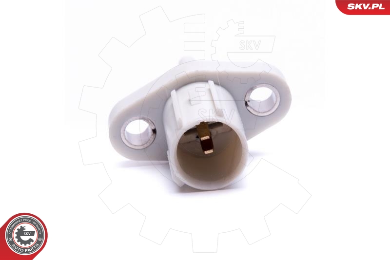 ESEN SKV 17SKV676 Sensor, innsugningsluft temperatur
