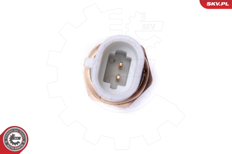 ESEN SKV 17SKV678 Sensor, innsugningsluft temperatur