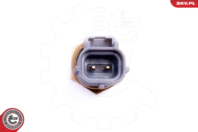 ESEN SKV 17SKV684 Sensor, innsugningsluft temperatur
