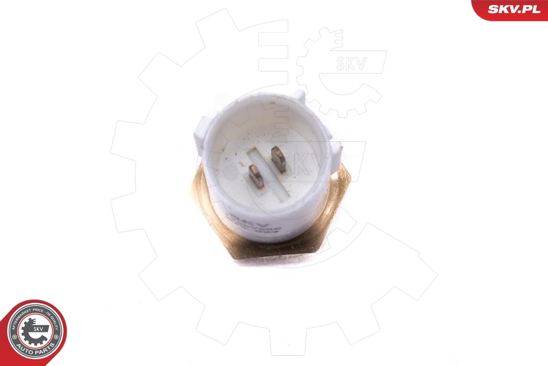 ESEN SKV 17SKV688 Sensor, innsugningsluft temperatur