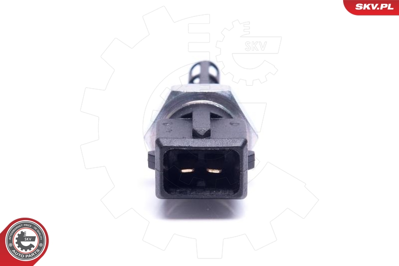 ESEN SKV 17SKV690 Sensor, innsugningsluft temperatur