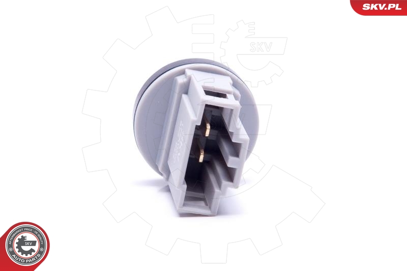 ESEN SKV 17SKV698 Sensor, innetemperatur