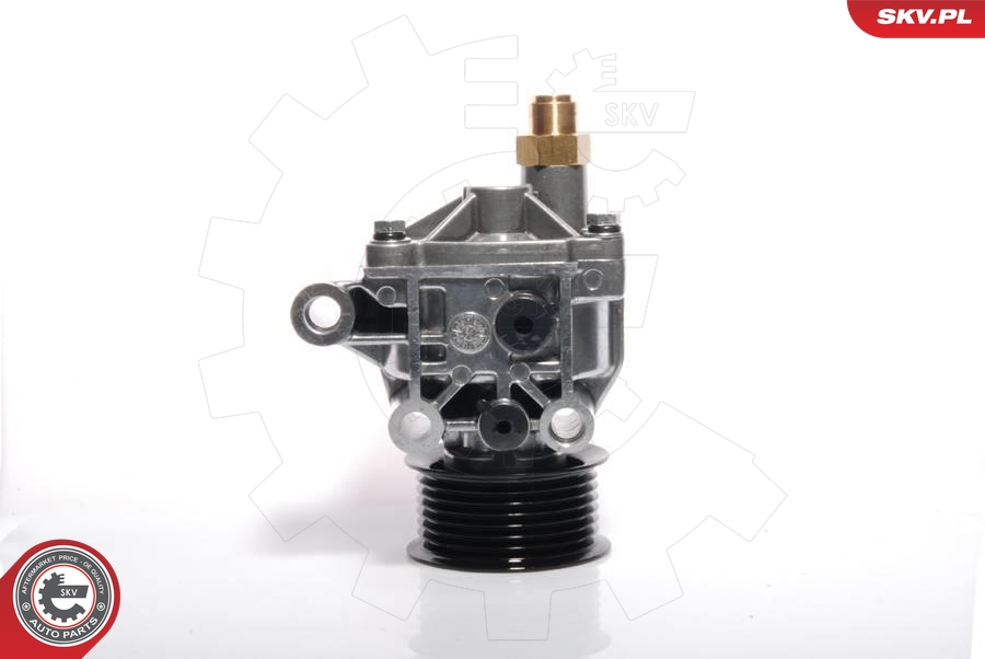 ESEN SKV 18SKV002 Vakuumpumpe, bremsesystem