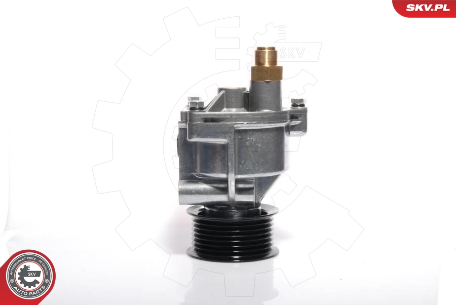 ESEN SKV 18SKV002 Vakuumpumpe, bremsesystem