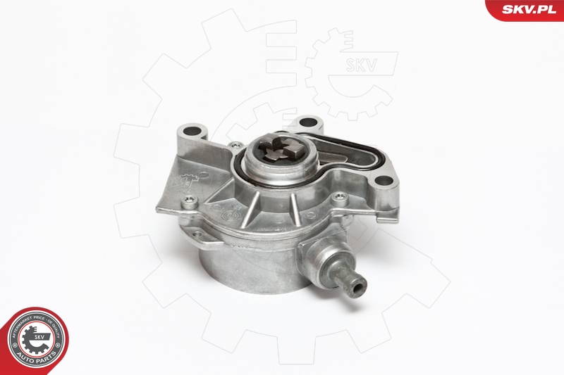 ESEN SKV 18SKV004 Vakuumpumpe, bremsesystem