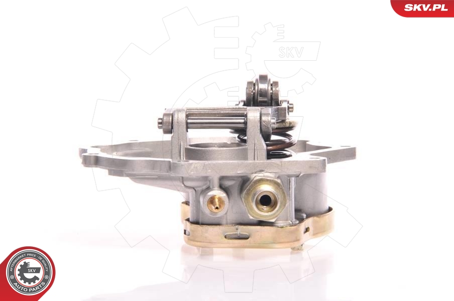 ESEN SKV 18SKV007 Vakuumpumpe, bremsesystem