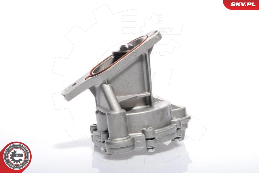 ESEN SKV 18SKV009 Vakuumpumpe, bremsesystem